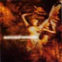 Scattered Remnants : Indulgence In Masochism